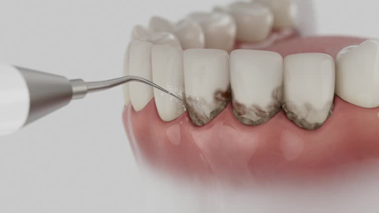 Reliable Dental contractor in Wharton County County, TX by Dentist Open Now